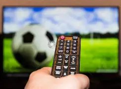 世乒联法兰,克福站决赛,王曼昱王艺,爱游戏app,爱游戏官网,爱游戏体育官网,爱游戏体育app