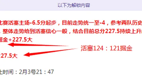活塞对猛龙赛事分析：专家质合解析及前区十码推荐